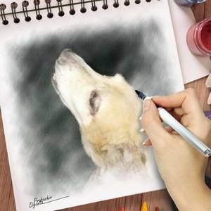 Meet your Posher, Melinda